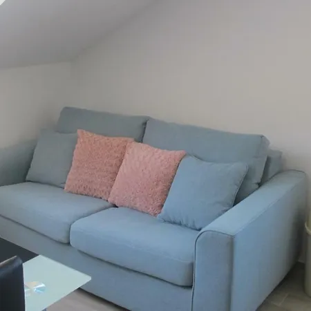 Apartman Ruza In The Attic Of The House