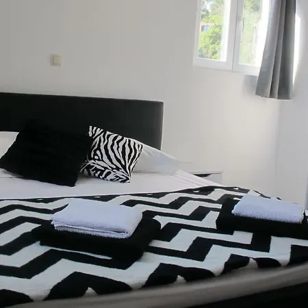 Ruza In The Attic Of The House Apartment *