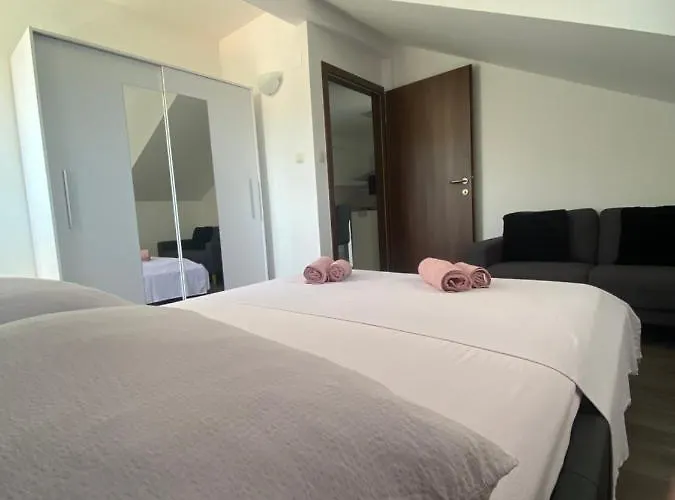 Ruza In The Attic Of The House *