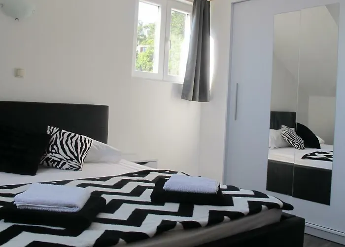 Ruza In The Attic Of The House