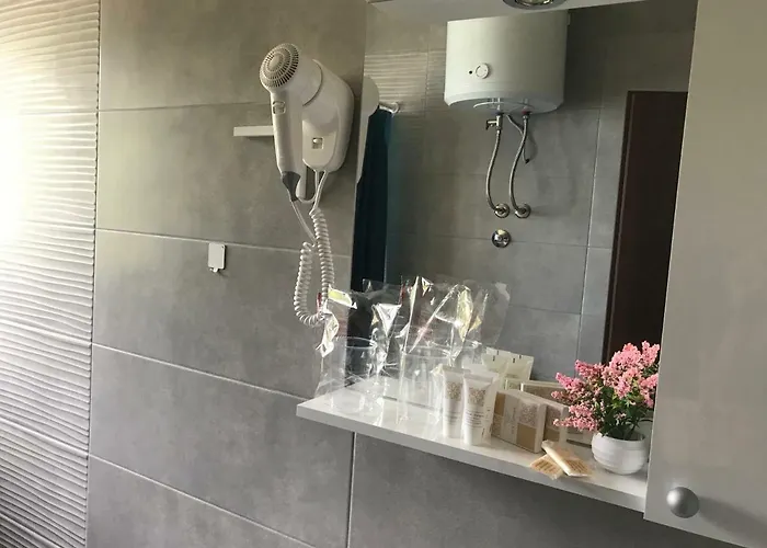 Ruza In The Attic Of The House Apartment