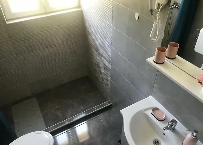 Ruza In The Attic Of The House Apartment *